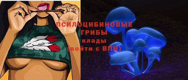 гидропоника Арсеньев