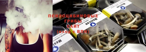 гидропоника Арсеньев