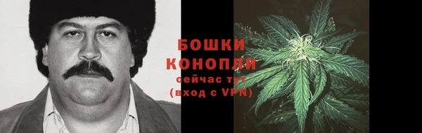 прущие крисы Армянск