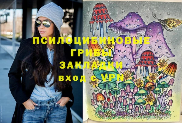 apvp Аркадак