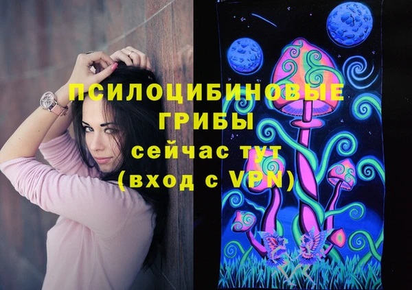 прущие крисы Армянск