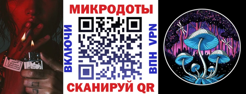 купить  сайты  Гай  Галлюциногенные грибы мицелий 