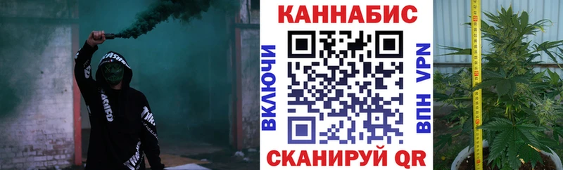 как найти закладки Гай Конопля Amnesia